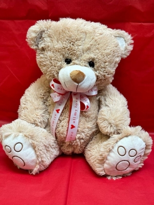 Brown Bear Teddy
