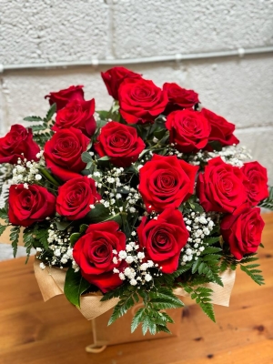 18 Red Roses