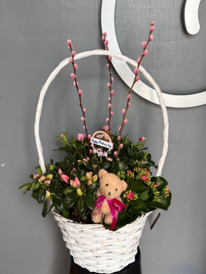 Indoor Planted Basket.