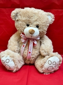 Brown Bear Teddy
